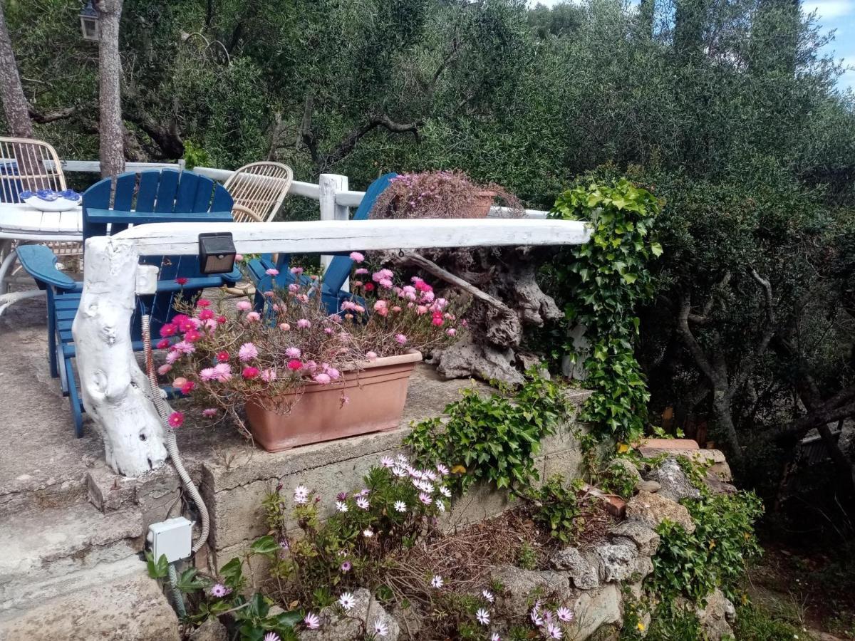 Cottage Pura Vigna Immerso Nella Natura Vicino Al Mare ปอร์โต ซานโต สเตฟาโน ภายนอก รูปภาพ