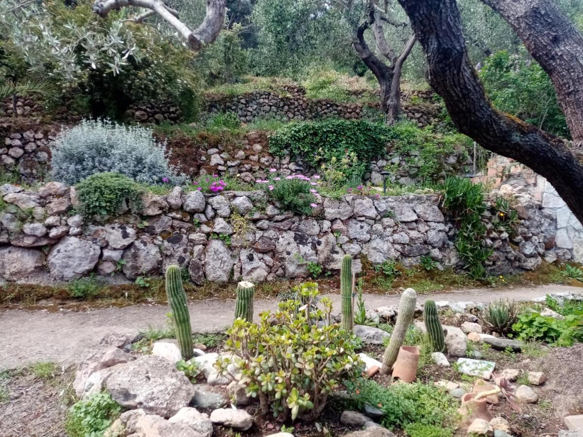 Cottage Pura Vigna Immerso Nella Natura Vicino Al Mare ปอร์โต ซานโต สเตฟาโน ภายนอก รูปภาพ