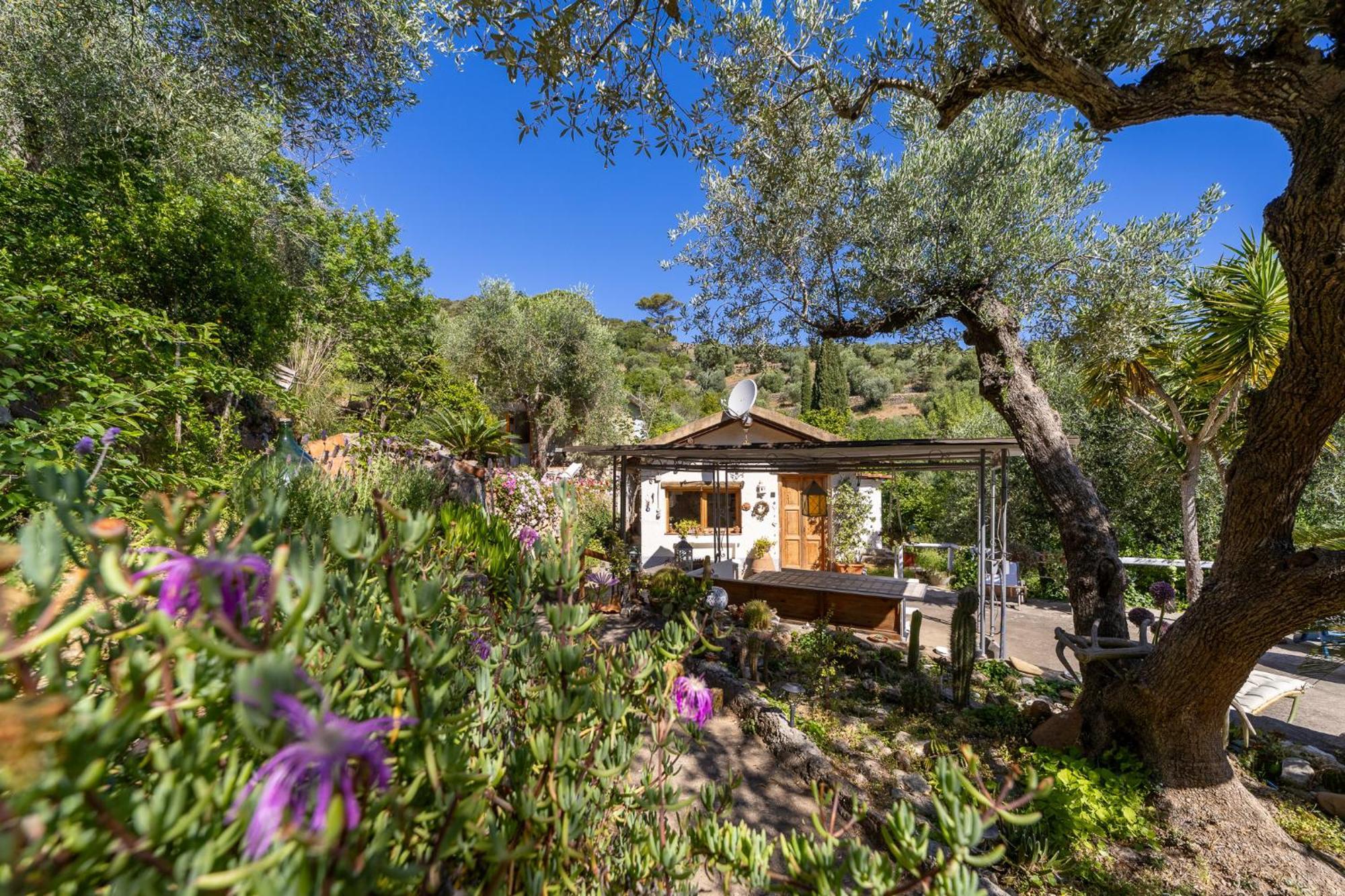 Cottage Pura Vigna Immerso Nella Natura Vicino Al Mare ปอร์โต ซานโต สเตฟาโน ภายนอก รูปภาพ